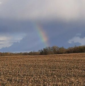 Meet your Posher, Carolyn